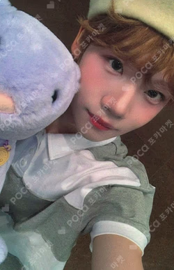 Snowy Summer BEATROAD KENSHIN photocard image