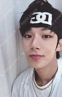 FI STEVEN photocard image