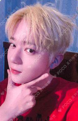 IRISED WHISTLE YECHAN photocard image