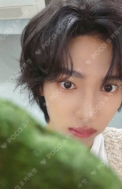 Butterfly Mubeat Chael photocard image