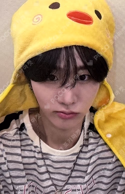 LOVE ANECDOTE(S) 1st music