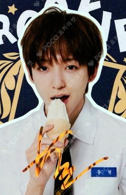 TELECA COLLECTION CARD 2025 K-POP ROOKIE SPECIAL Donghyeon photocard image