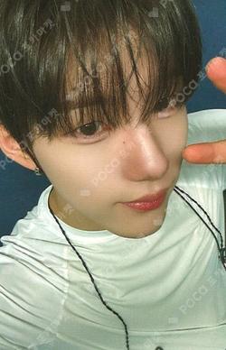 Snowy Summer WITHMUU