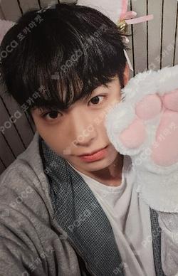 LOVE ANECDOTE(S) Hellolive shop KEITA photocard image