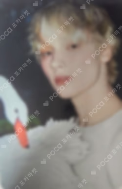 Starkissed PHOTO CARD