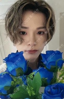 NIGHTGARDEN TREASURE PHOTO SCRAP KIT ASAHI photocard image