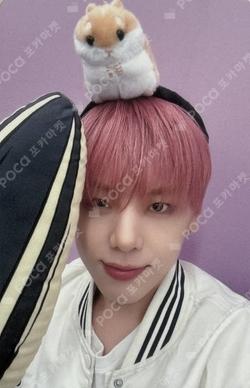 Wonderland MAKESTAR JANGDAEHYEON photocard image