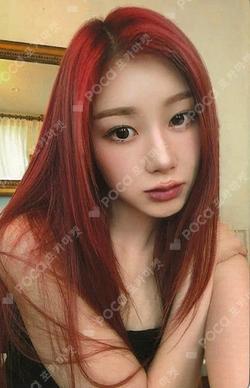 BELLA GISELLE photocard image