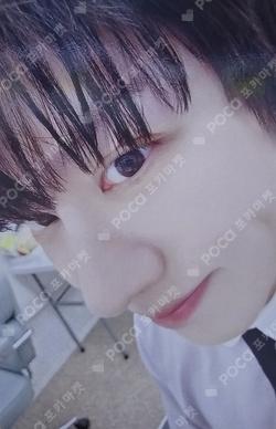 SUPER JUNIOR 20th Anniversary TOUR [SUPER SHOW 10] in JAPAN SUPER JUNIOR x Koala's March HEECHUL photocard image