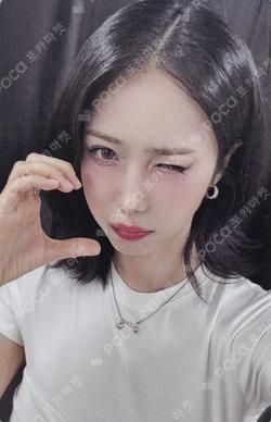 A Montage of ( ) WILLMUSIC SINB photocard image