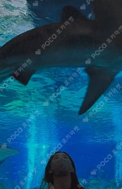 Blue Valentine Platform Album POCAALBUM Ver. Blue ver.