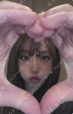 Blooming Wings MOKKET SHOP