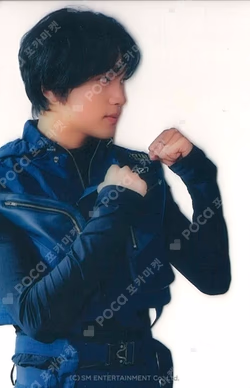 2024 SEASON'S GREETINGS CLEAR PHOTO CARD HAECHAN photocard image