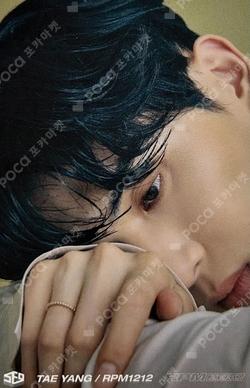SF9 YOO TAEYANG photocard image