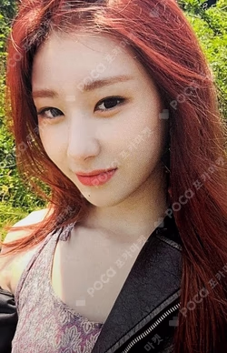 2022 SEASON'S GREETINGS [BEST FRIENDS FOREVER] TRADING CARD & STICKER SET