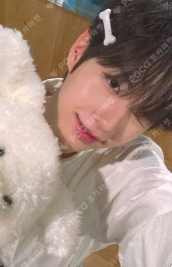 Snowy Summer Hellolive shop