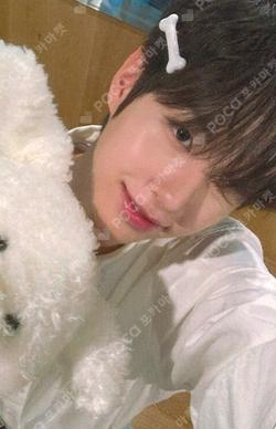 Snowy Summer Hellolive shop Sung Min Kim photocard image