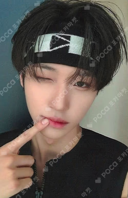 Snowy Summer EVERLINE