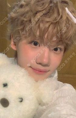 Snowy Summer Hellolive shop KENSHIN photocard image