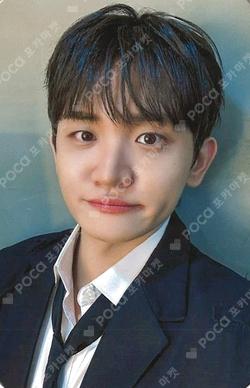 Sunflower DEAR MY MUSE CHOWONSANG photocard image