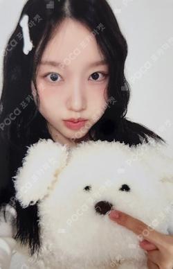 HAPPY GO WON’S DAY Hellolive shop Go Won photocard image