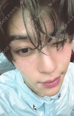 Steady KMS SION photocard image