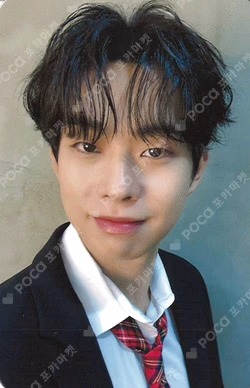 Sunflower DEAR MY MUSE