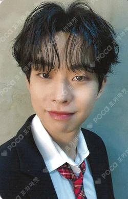 Sunflower DEAR MY MUSE CHOISANGYEOP photocard image