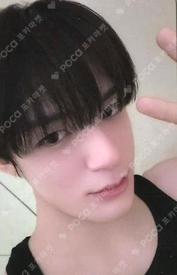 DREAMSCAPE KMS JENO photocard image