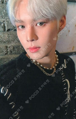 Choice WONDERWALL SEJUN photocard image