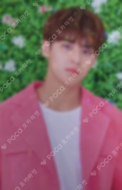 SEVENTEEN 2019 JAPAN TOUR 'HARU' TRADING CARD