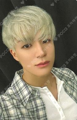 Dreamiez's Dream Forest POP-UP PLUSH PHOTO CARD HOLDER KEYRING