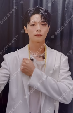 Sunflower DEAR MY MUSE