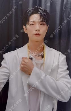 Sunflower DEAR MY MUSE SHINYECHAN photocard image