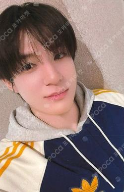 DREAMSCAPE KMS JENO photocard image