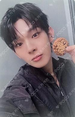 2025 KBS Song Festival Global Festival STEVEN photocard image