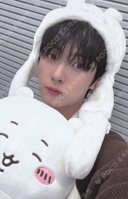 MAZE : AD ASTRA MUSICART