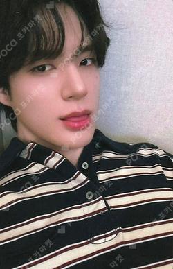 DREAMSCAPE KMS JENO photocard image