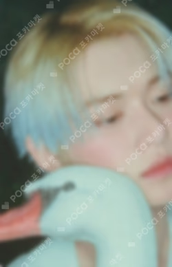 Starkissed PHOTO CARD