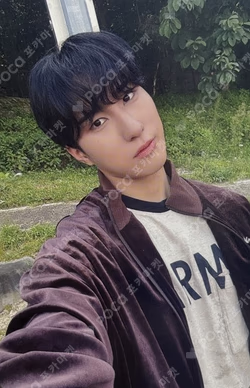 MAZE : AD ASTRA DEAR MY MUSE