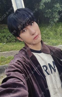 MAZE : AD ASTRA DEAR MY MUSE HARIN photocard image