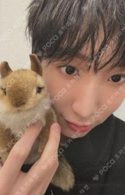 MAZE : AD ASTRA SOUND WAVE DONGMYEONG photocard image