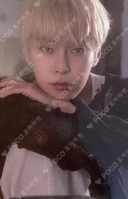 NCT DOYOUNG photocard image
