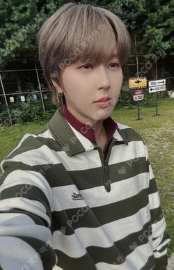 MAZE : AD ASTRA DEAR MY MUSE GIUK photocard image