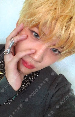 blackout Blue Dream Media