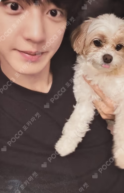 Upside Down QQ MUSIC