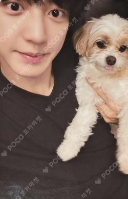 Upside Down QQ MUSIC CHANYEOL photocard image