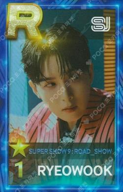SUPER SHOW 9 : ROAD_SHOW SuperStarSMTOWN