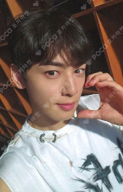 ELSE SOUND WAVE ChaEunwoo photocard image