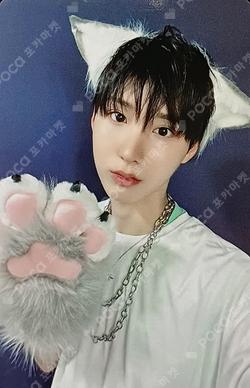 Kick Out, Flip Now! Counting Stars Juwang photocard image